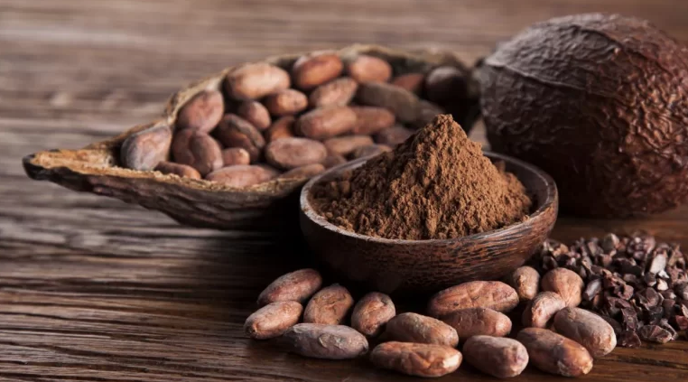 España se posicionó como el principal comprador de cacao peruano en junio