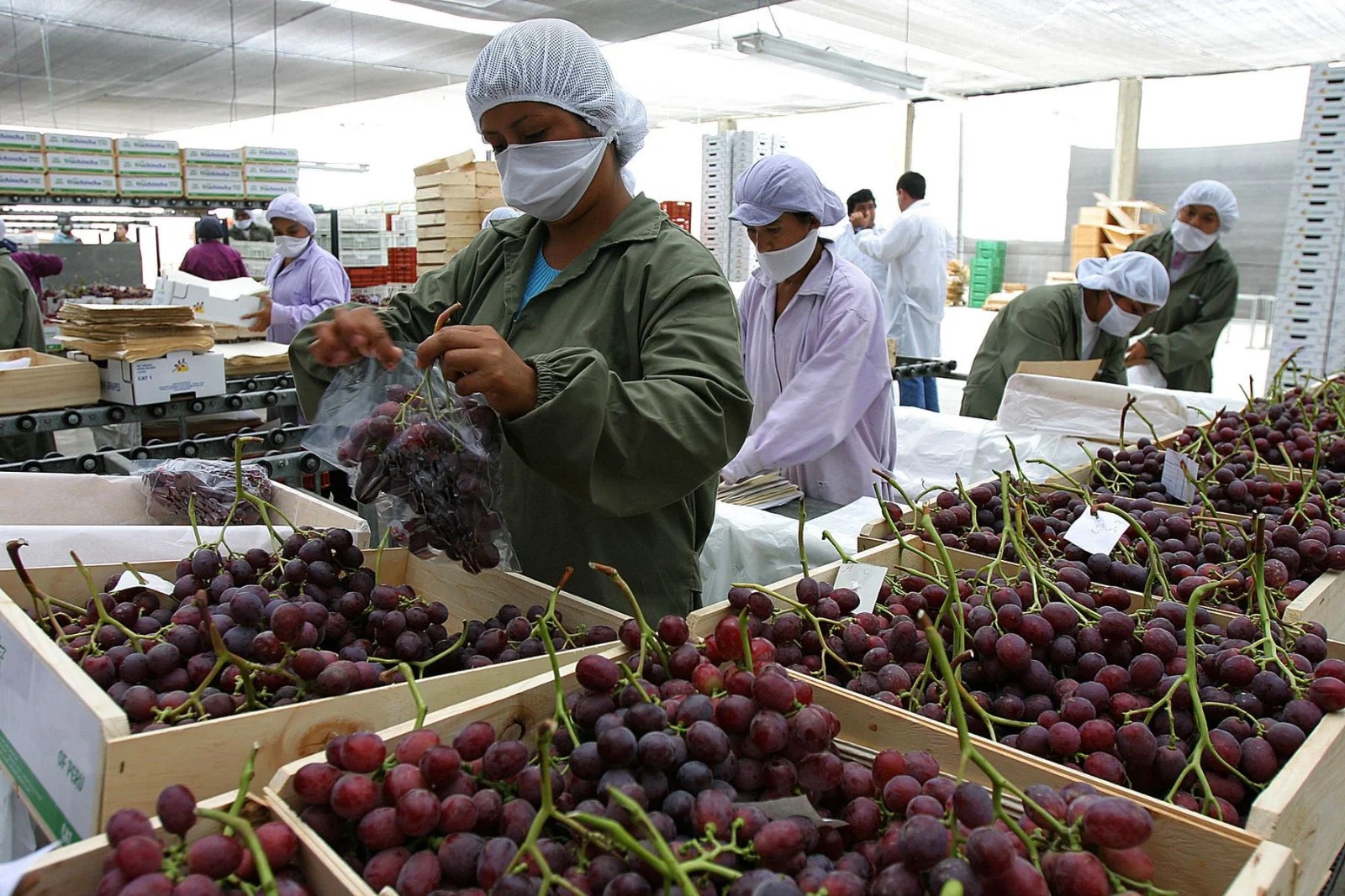 Agroexportaciones crecieron 8.1 % en el primer cuatrimestre del 2024.