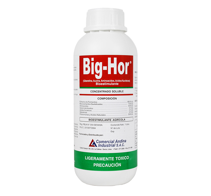 BIG HOR