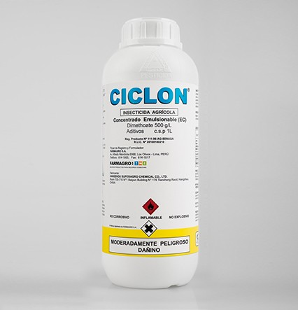 CICLON