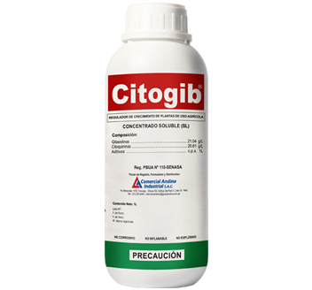 CITOGIB