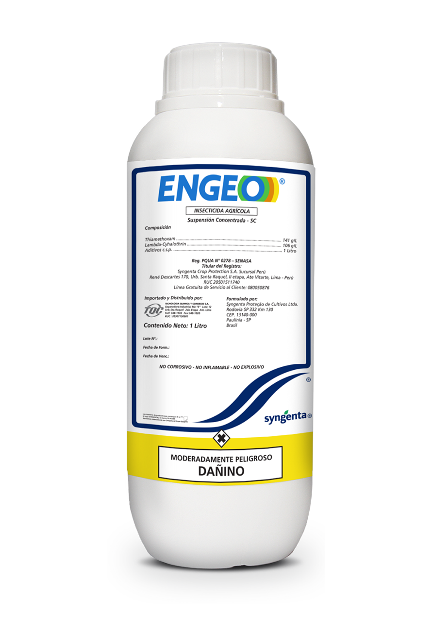 ENGEO