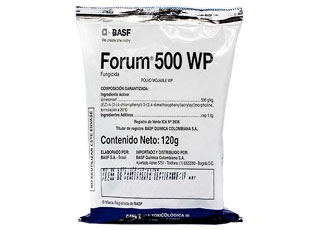 FORUM 500 WP