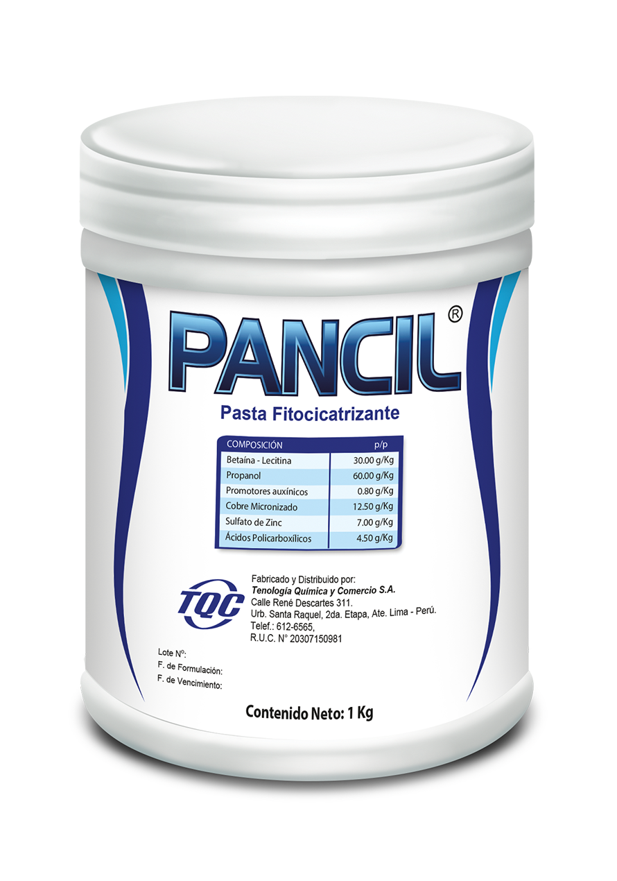 PANCIL