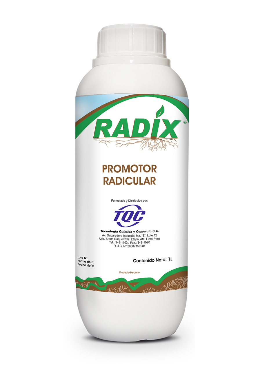 RADIX