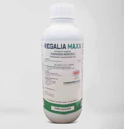 REGALIA MAXX