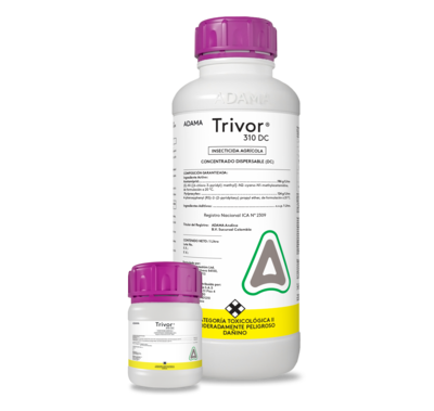 Trivor 310 DC