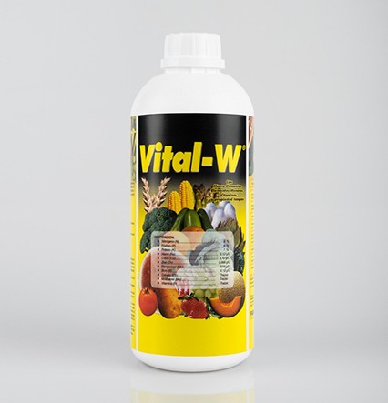 VITAL-W